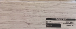   AGT  8547
